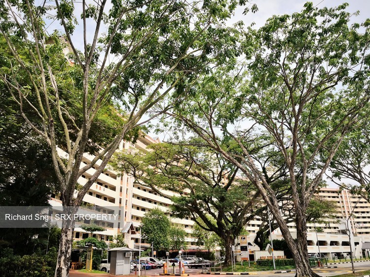 Sin Ming Road (D20), HDB Shop House #203797891